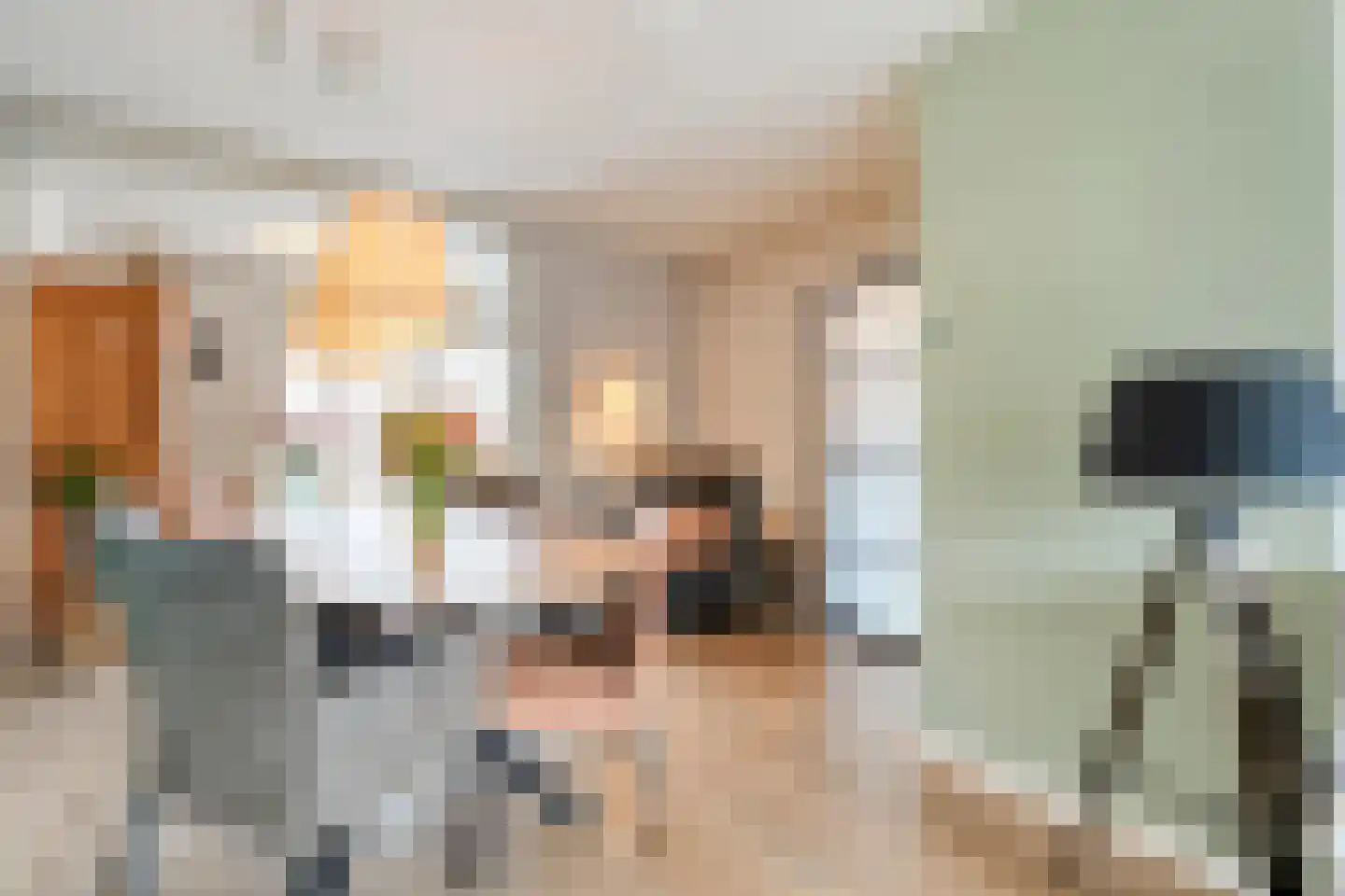 Zwaluw 12 Raalte thumbnail 20
