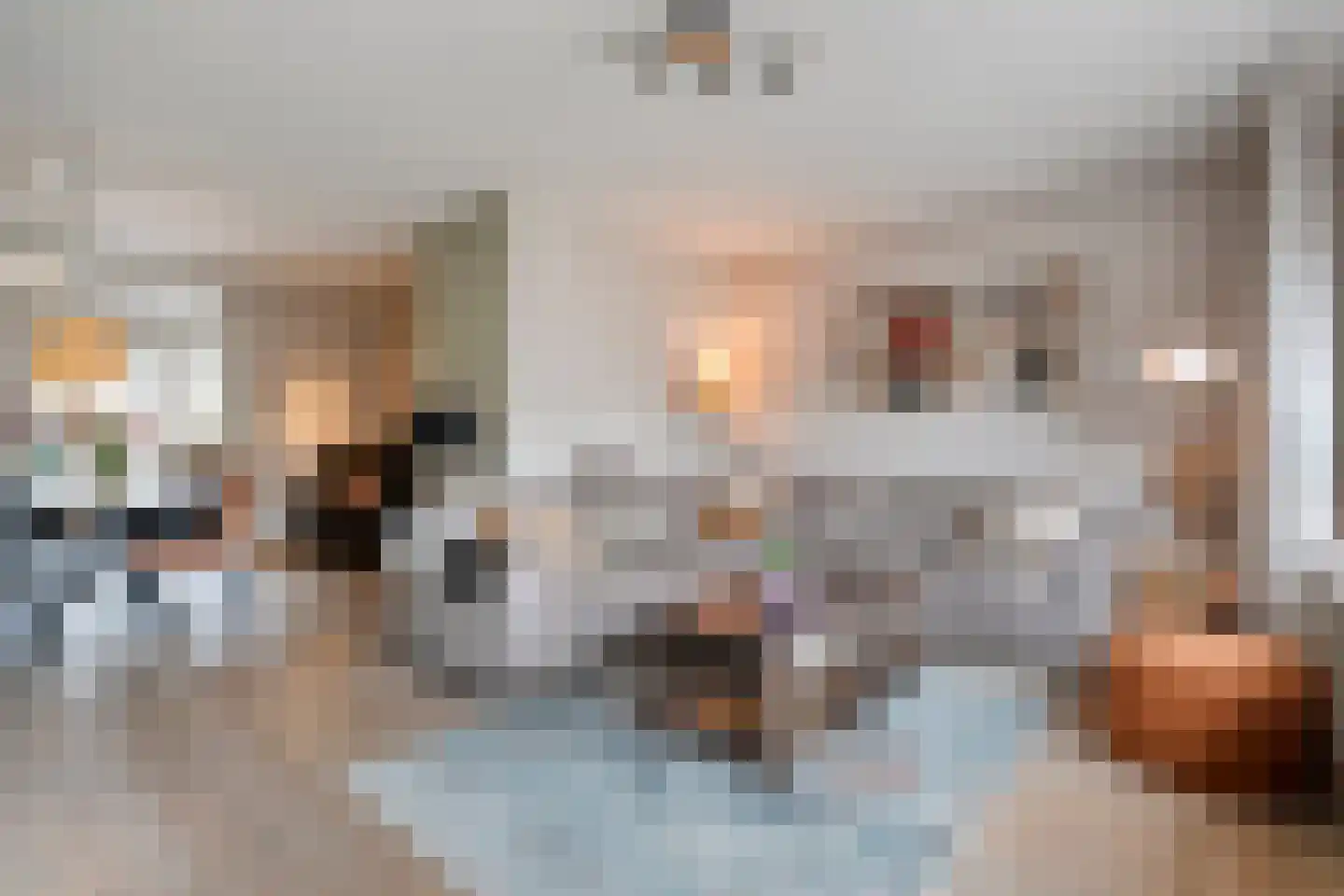 Zwaluw 12 Raalte thumbnail 22