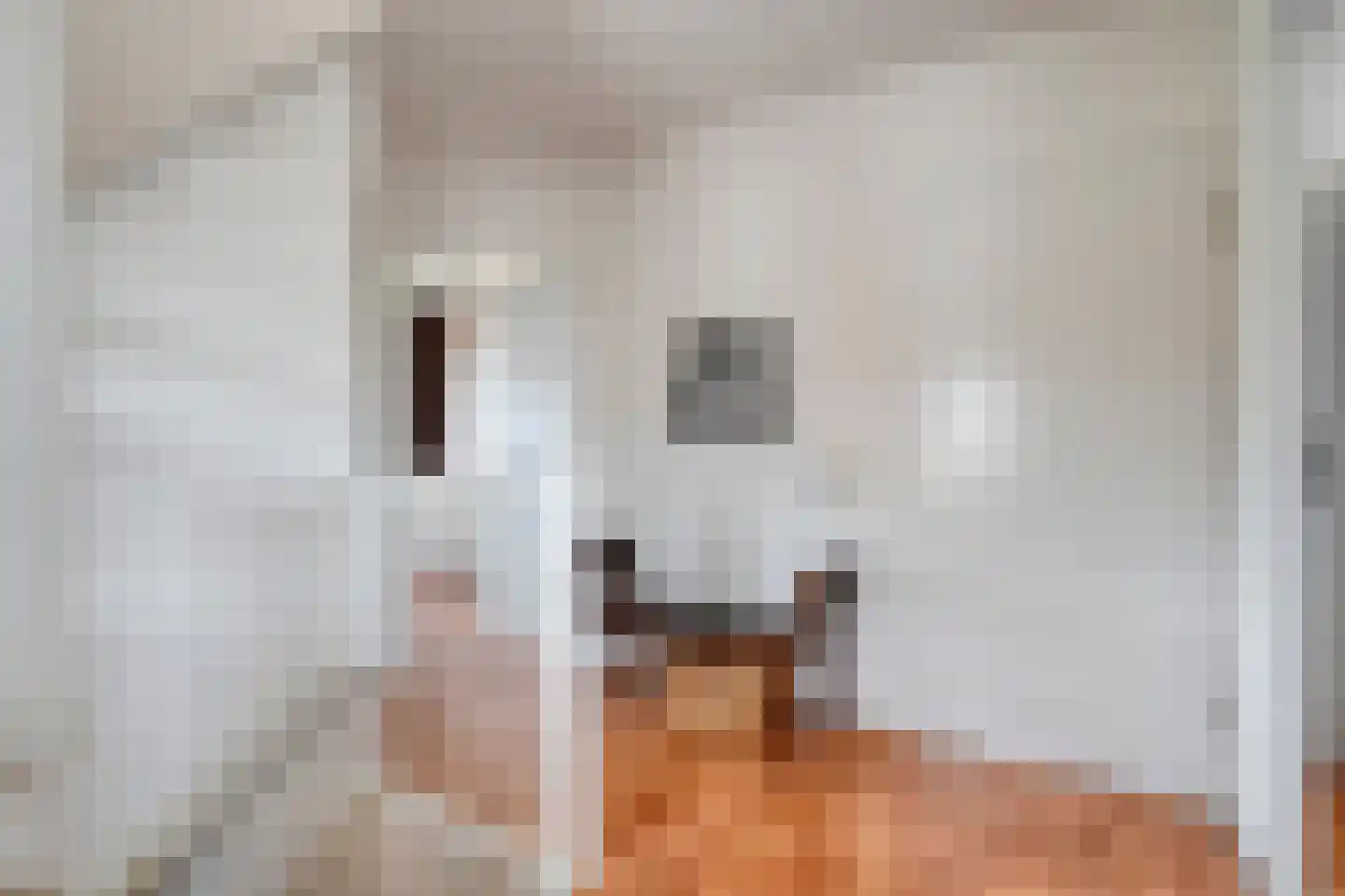 Zwaluw 12 Raalte thumbnail 29