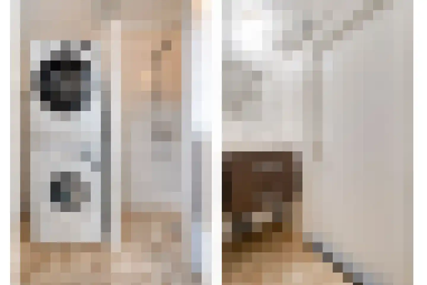 Zwaluw 12 Raalte thumbnail 38
