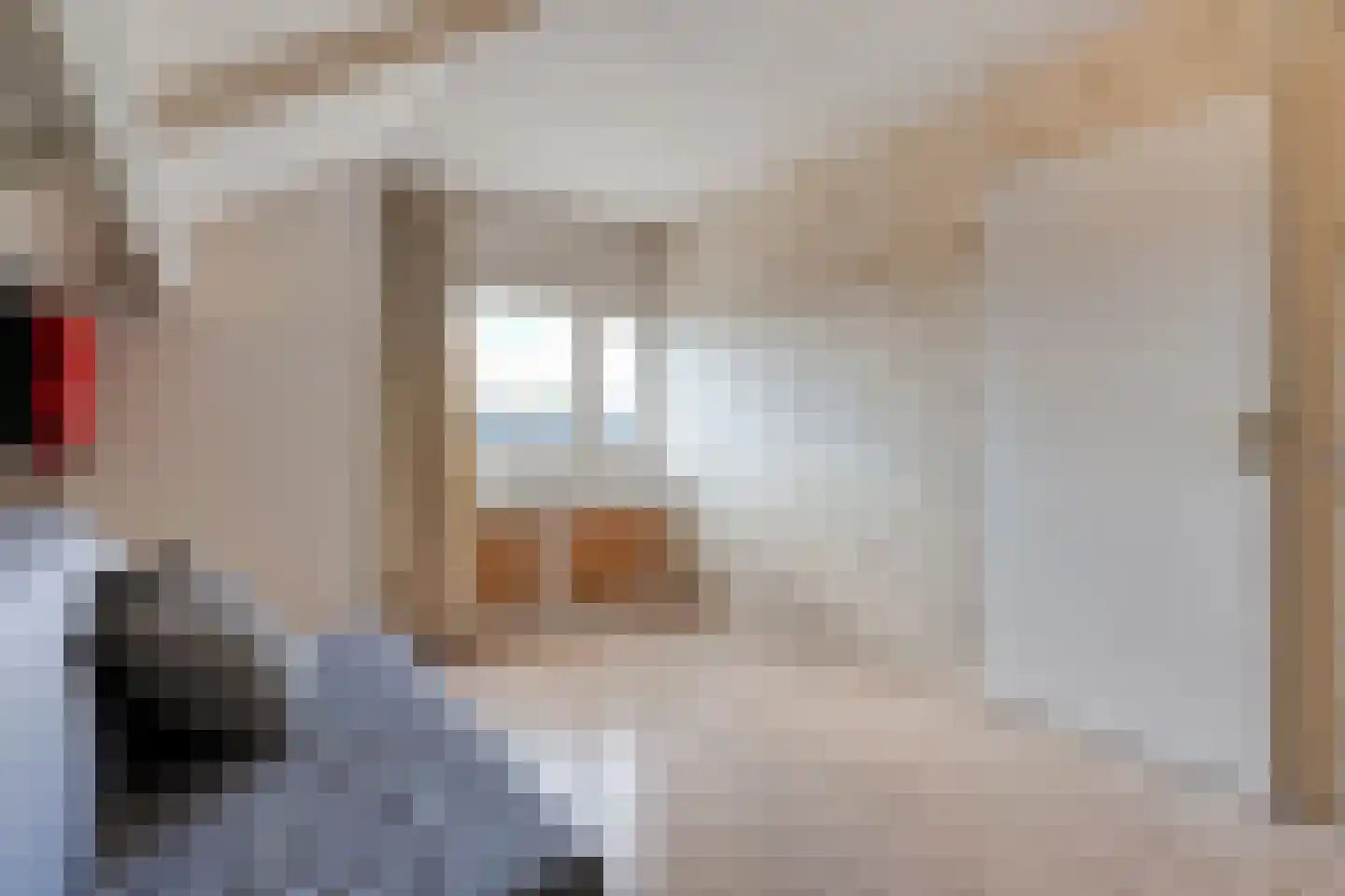 Zwaluw 12 Raalte thumbnail 39