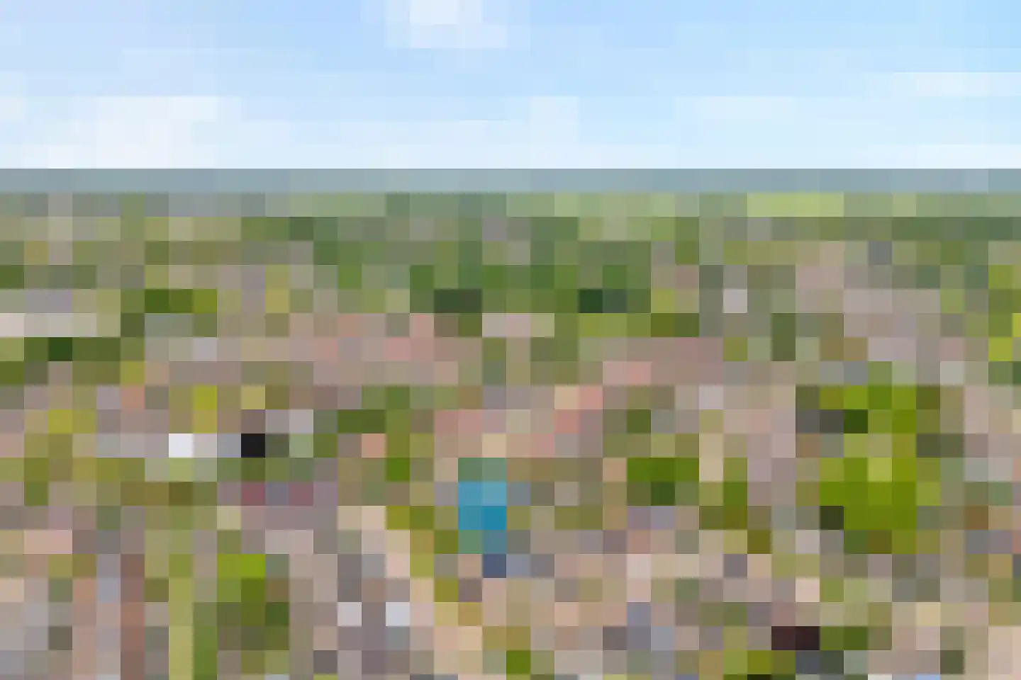 Zwaluw 12 Raalte thumbnail 4