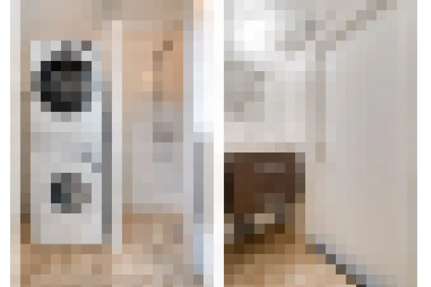 Zwaluw 12 Raalte thumbnail 40