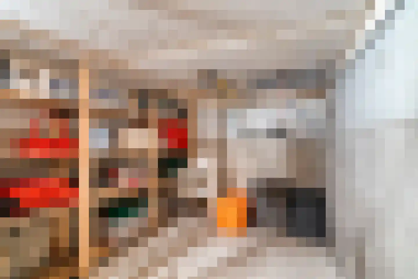 Zwaluw 12 Raalte thumbnail 41
