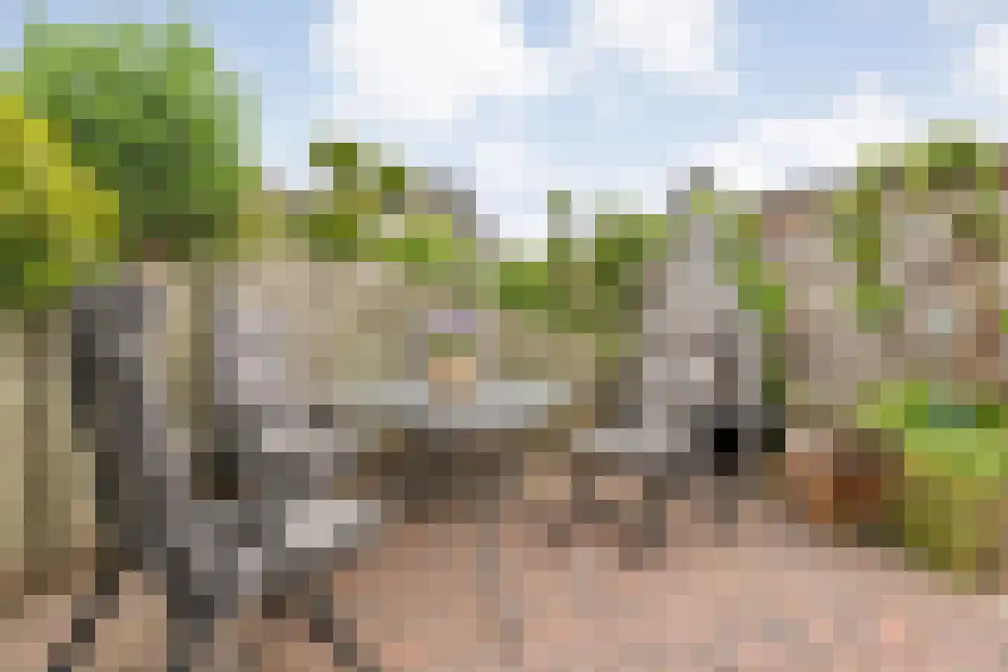 Zwaluw 12 Raalte thumbnail 46