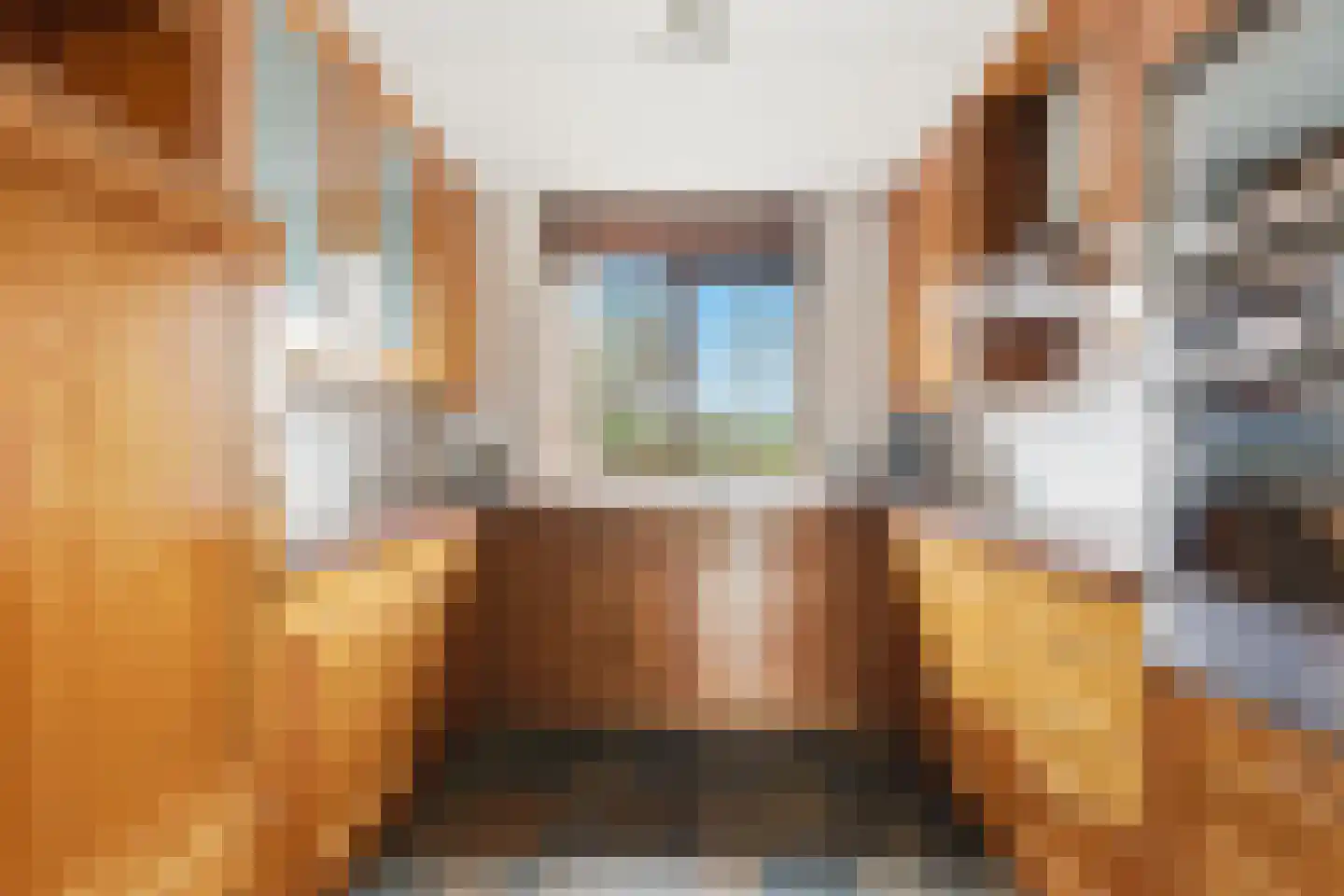 Zwaluw 129 Ridderkerk thumbnail 10