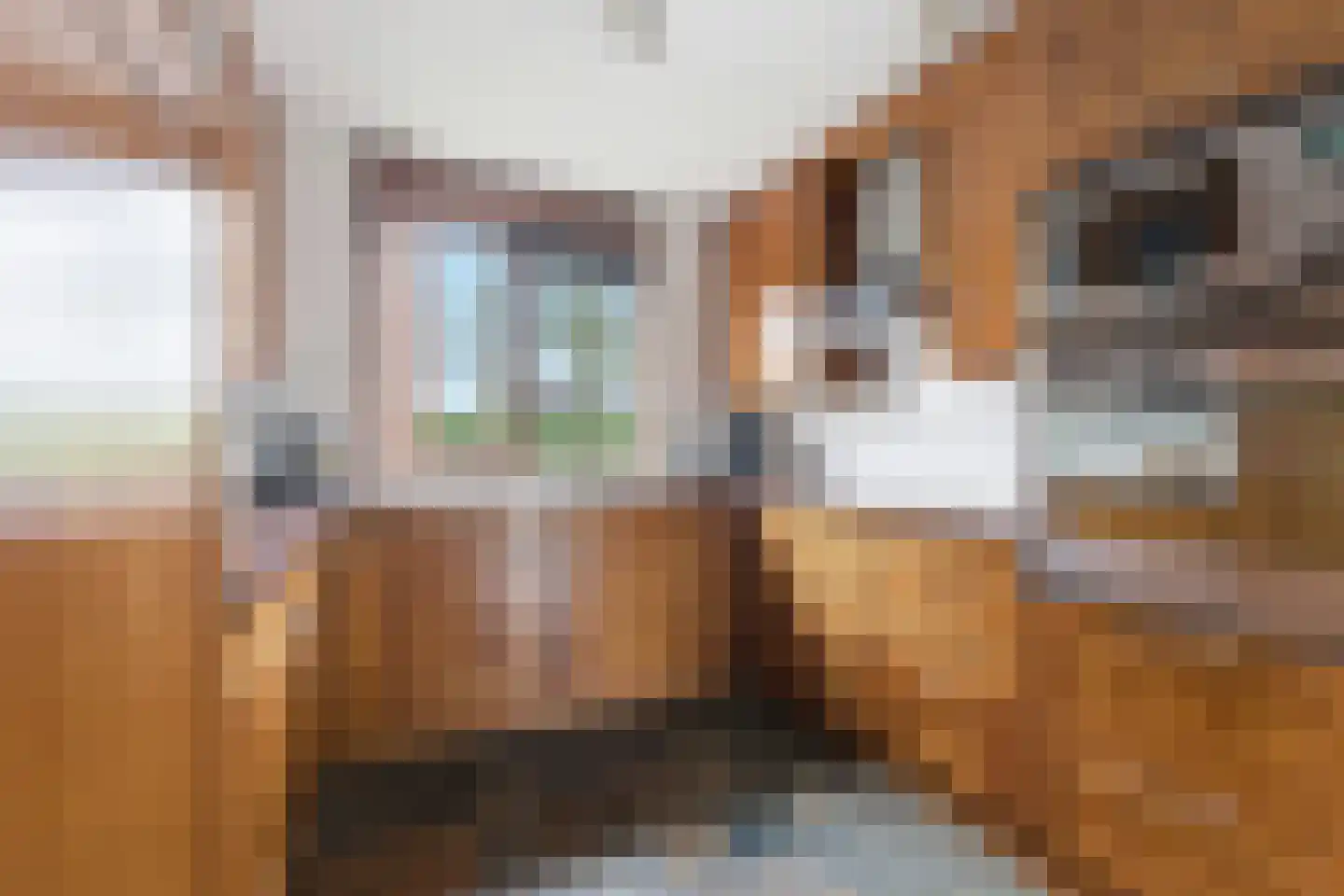 Zwaluw 129 Ridderkerk thumbnail 11