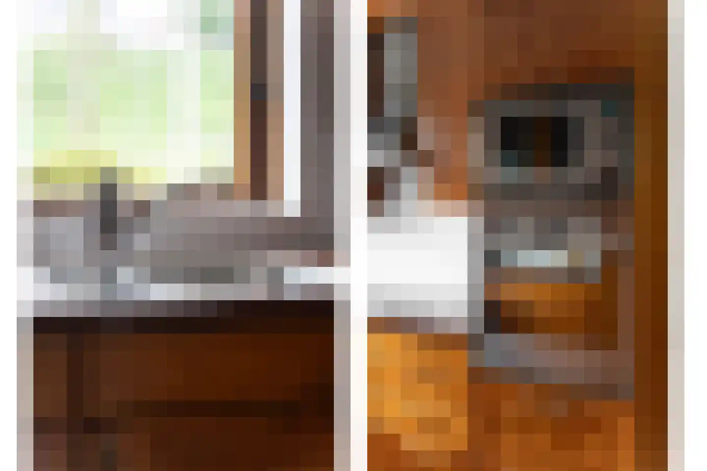 Zwaluw 129 Ridderkerk thumbnail 12