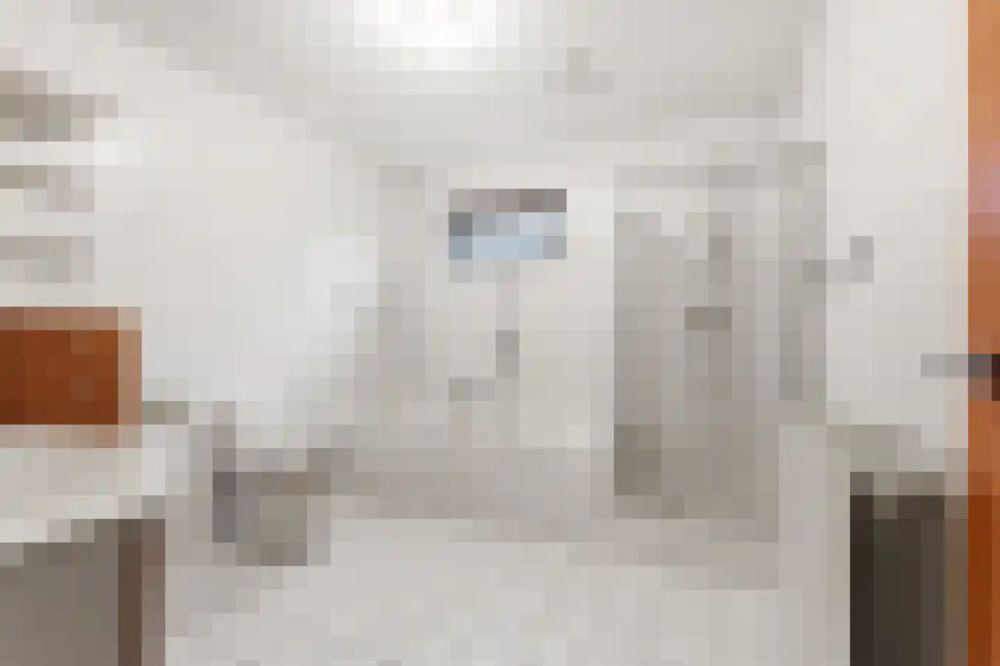 Zwaluw 129 Ridderkerk thumbnail 17