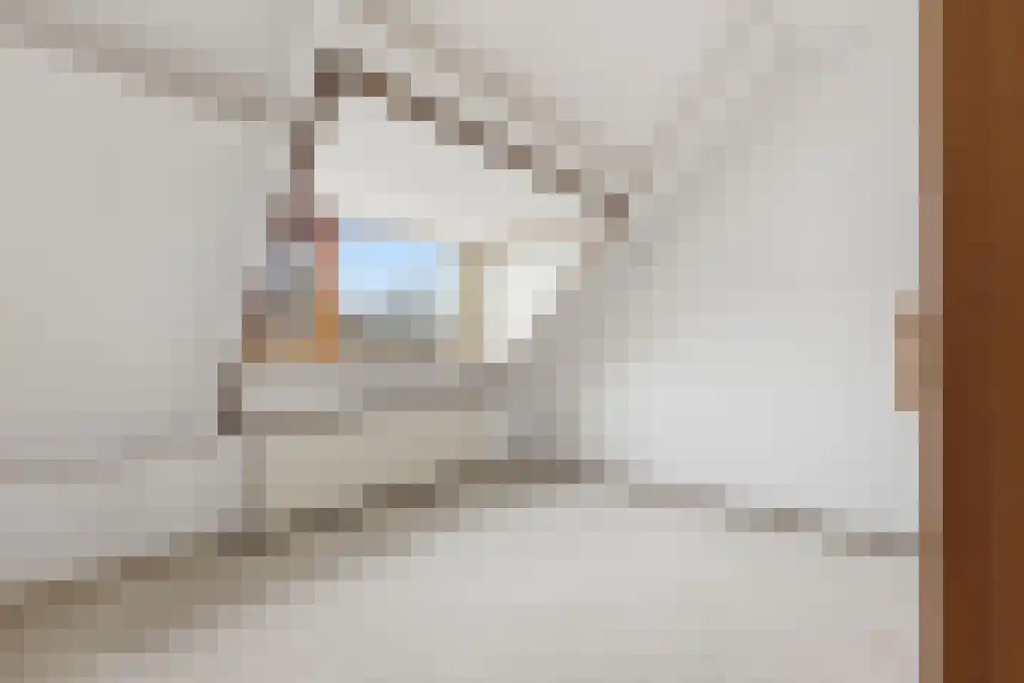 Zwaluw 129 Ridderkerk thumbnail 31