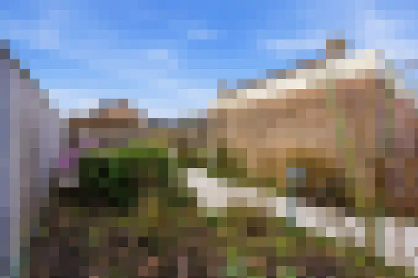 Zwaluw 129 Ridderkerk thumbnail 39