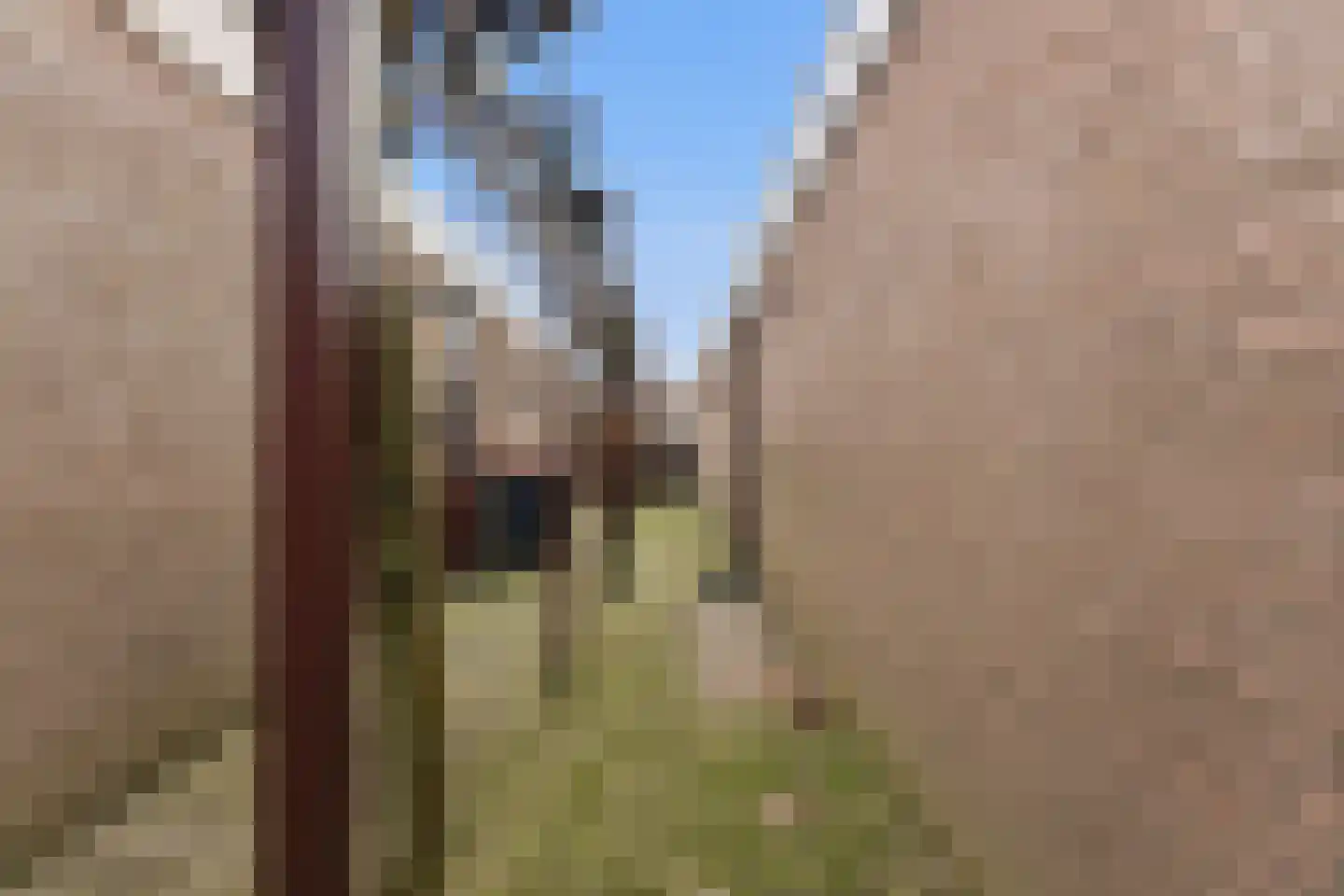 Zwaluw 129 Ridderkerk thumbnail 45
