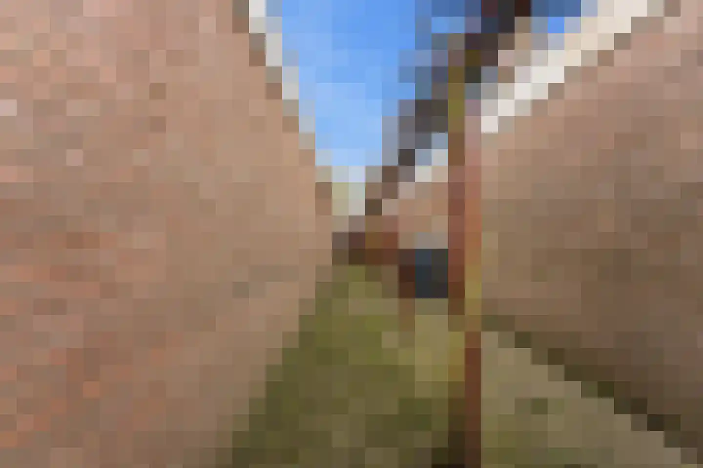 Zwaluw 129 Ridderkerk thumbnail 46