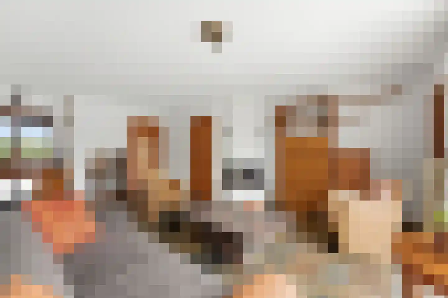 Zwaluw 129 Ridderkerk thumbnail 8