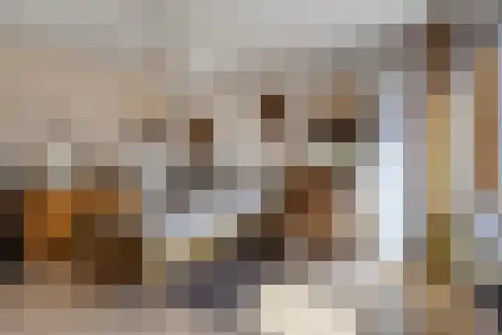 Zwaluw 133 Ridderkerk thumbnail 10