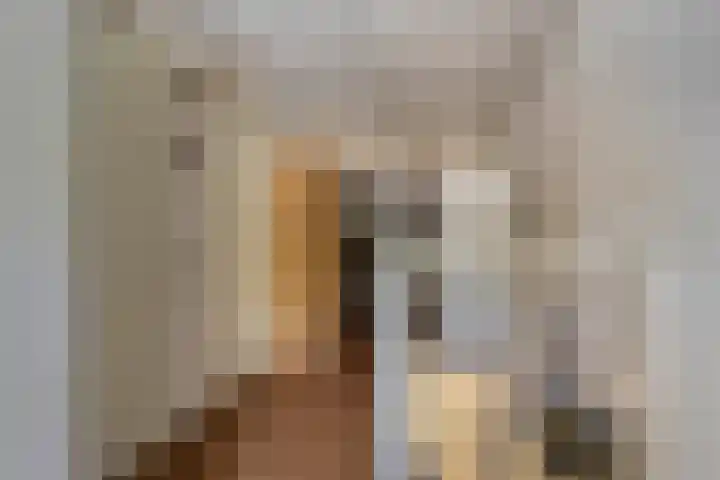 Zwaluw 133 Ridderkerk thumbnail 12