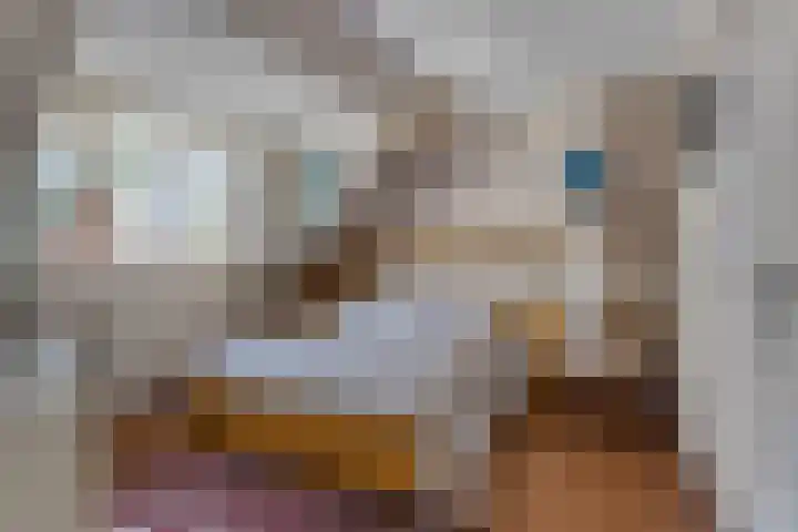 Zwaluw 133 Ridderkerk thumbnail 14