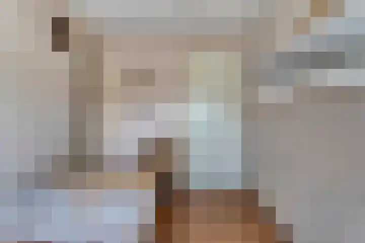 Zwaluw 133 Ridderkerk thumbnail 17