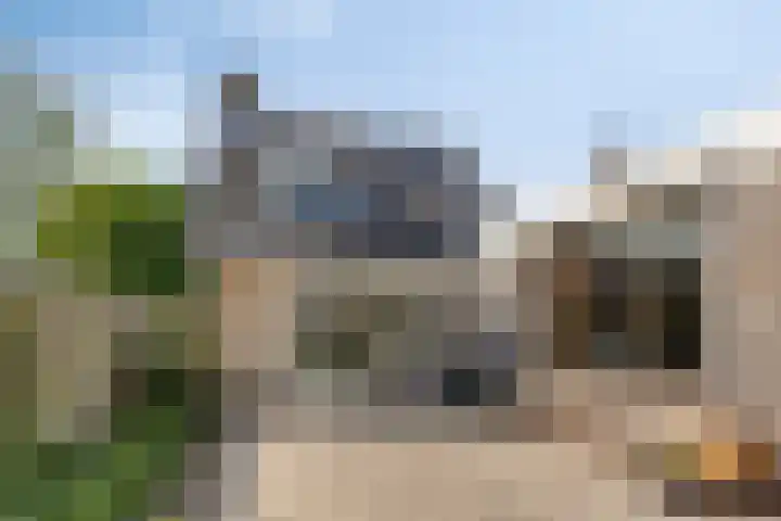 Zwaluw 133 Ridderkerk thumbnail 19