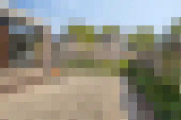Zwaluw 133 Ridderkerk thumbnail 20