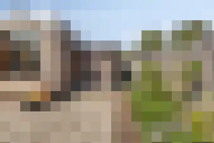 Zwaluw 133 Ridderkerk thumbnail 21