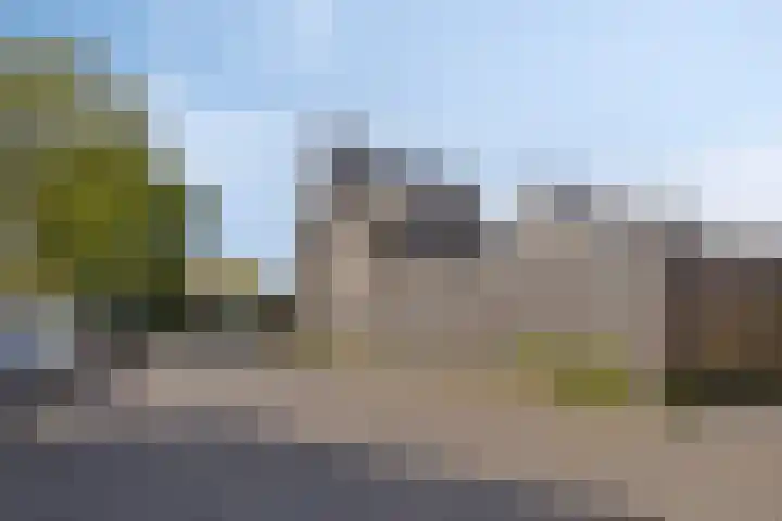 Zwaluw 133 Ridderkerk thumbnail 22