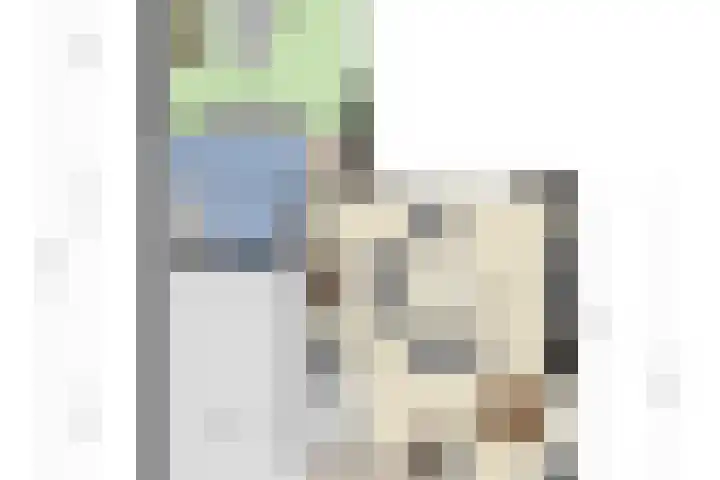 Zwaluw 133 Ridderkerk thumbnail 24