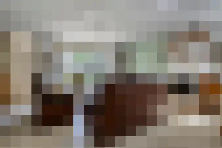 Zwaluw 133 Ridderkerk thumbnail 4