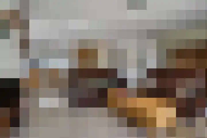 Zwaluw 133 Ridderkerk thumbnail 6