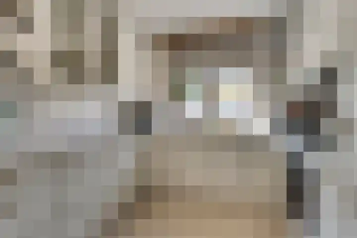 Zwaluw 133 Ridderkerk thumbnail 7