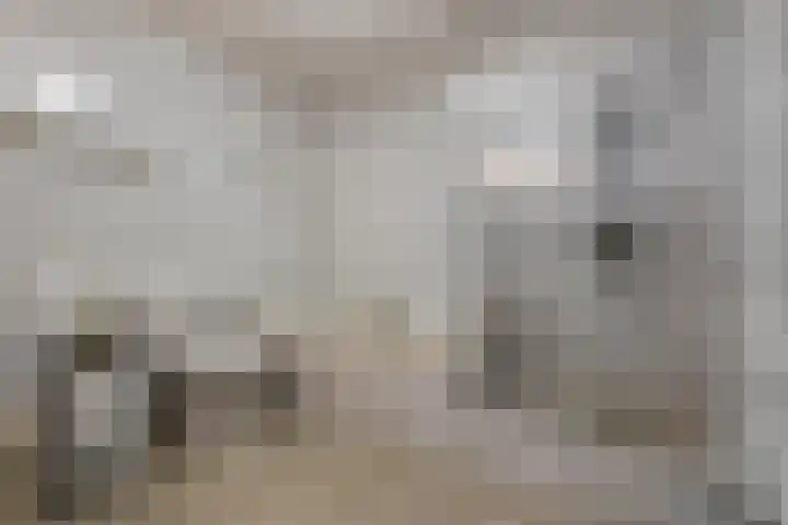 Zwaluw 133 Ridderkerk thumbnail 8