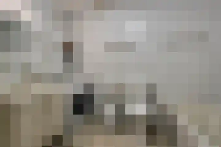 Zwaluw 133 Ridderkerk thumbnail 9