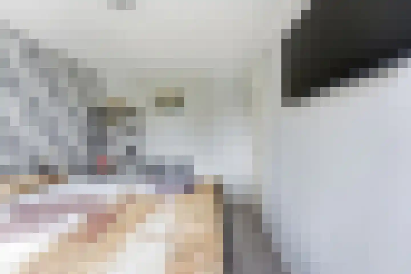 Zwaluw 148 Ridderkerk thumbnail 22