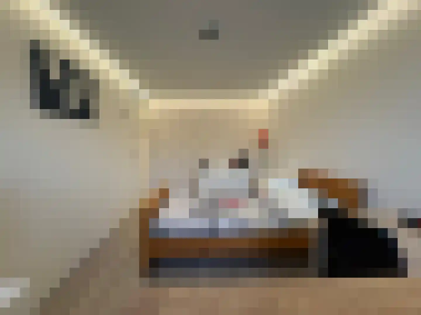 Zwaluw 148 Ridderkerk thumbnail 25