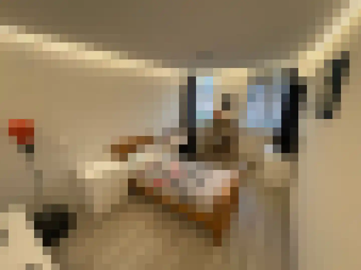 Zwaluw 148 Ridderkerk thumbnail 26