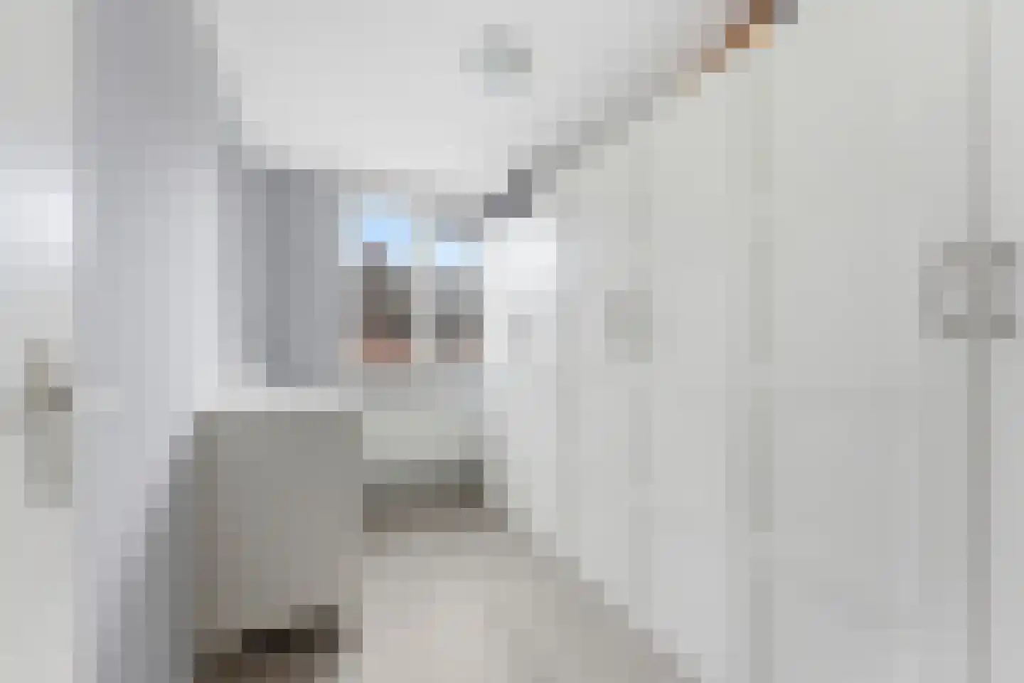 Zwaluw 148 Ridderkerk thumbnail 27