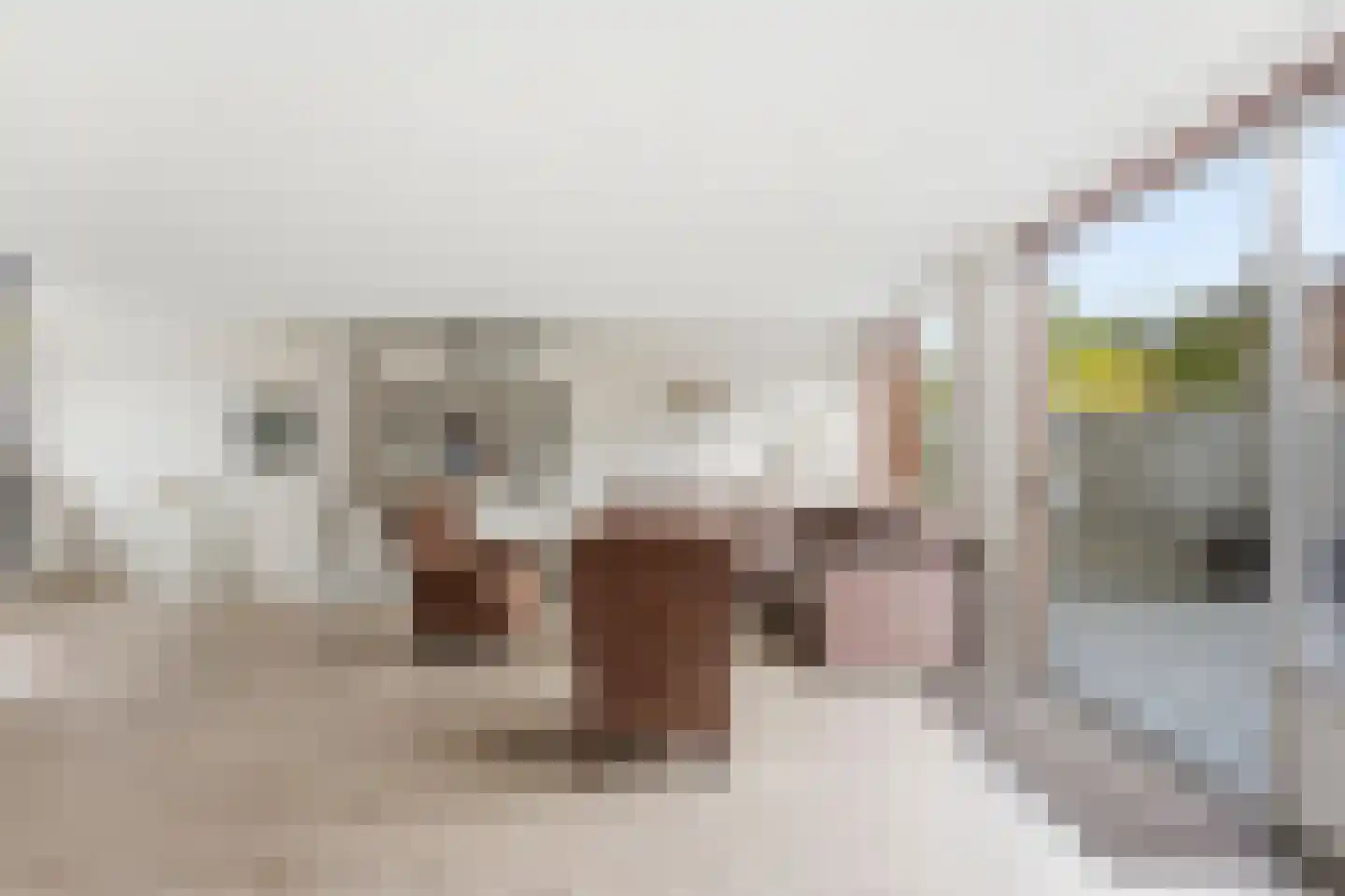 Zwaluw 148 Ridderkerk thumbnail 5