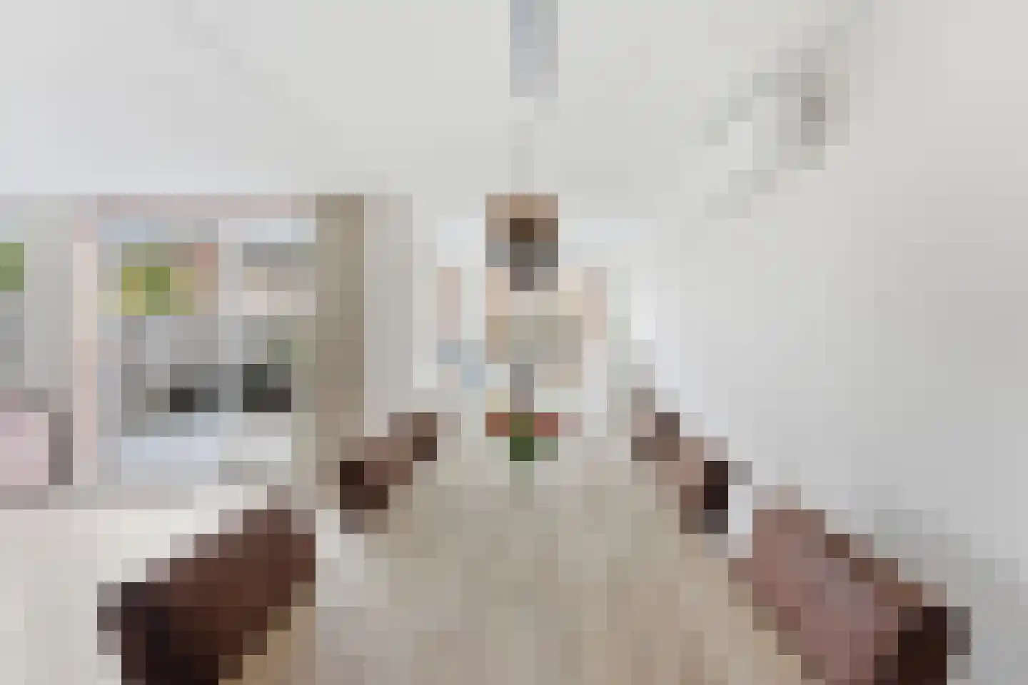 Zwaluw 148 Ridderkerk thumbnail 9