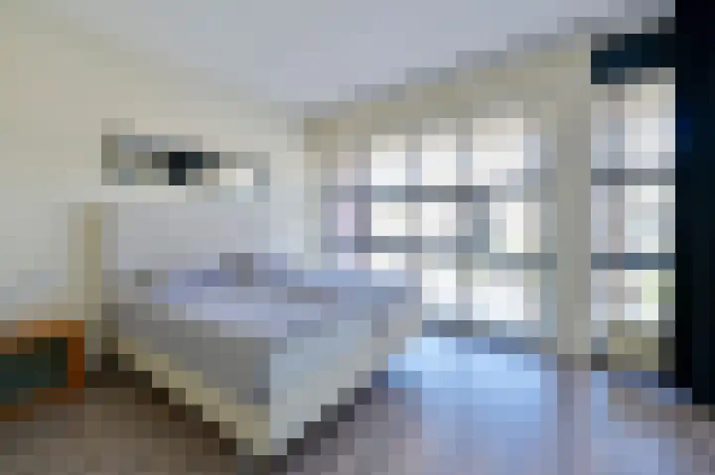 Zwaluw 15 Mijdrecht thumbnail 18