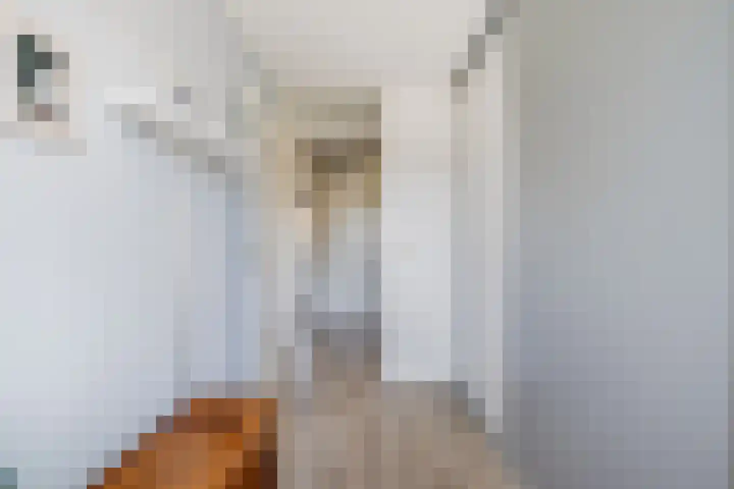 Zwaluw 160 Ridderkerk thumbnail 23