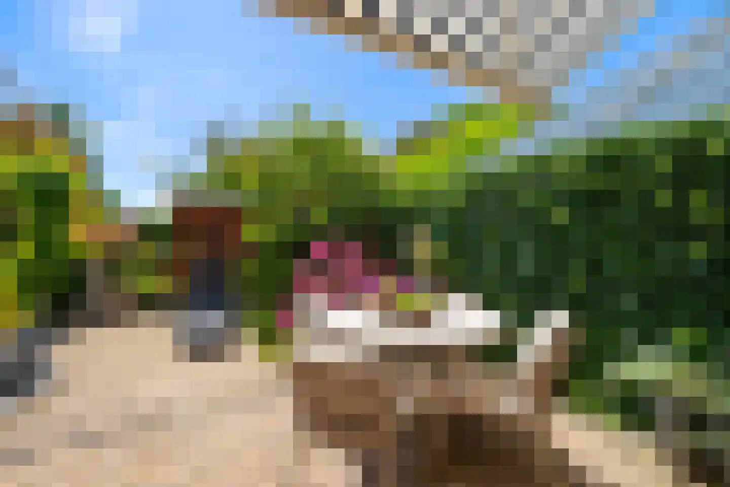 Zwaluw 160 Ridderkerk thumbnail 30