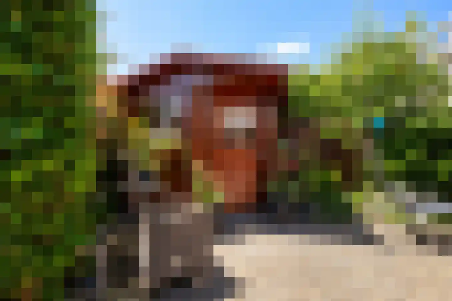 Zwaluw 160 Ridderkerk thumbnail 33