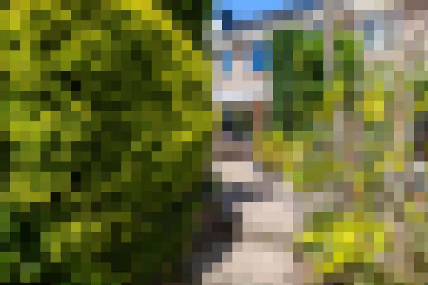 Zwaluw 160 Ridderkerk thumbnail 34