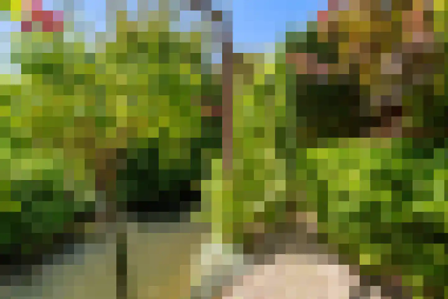 Zwaluw 160 Ridderkerk thumbnail 35