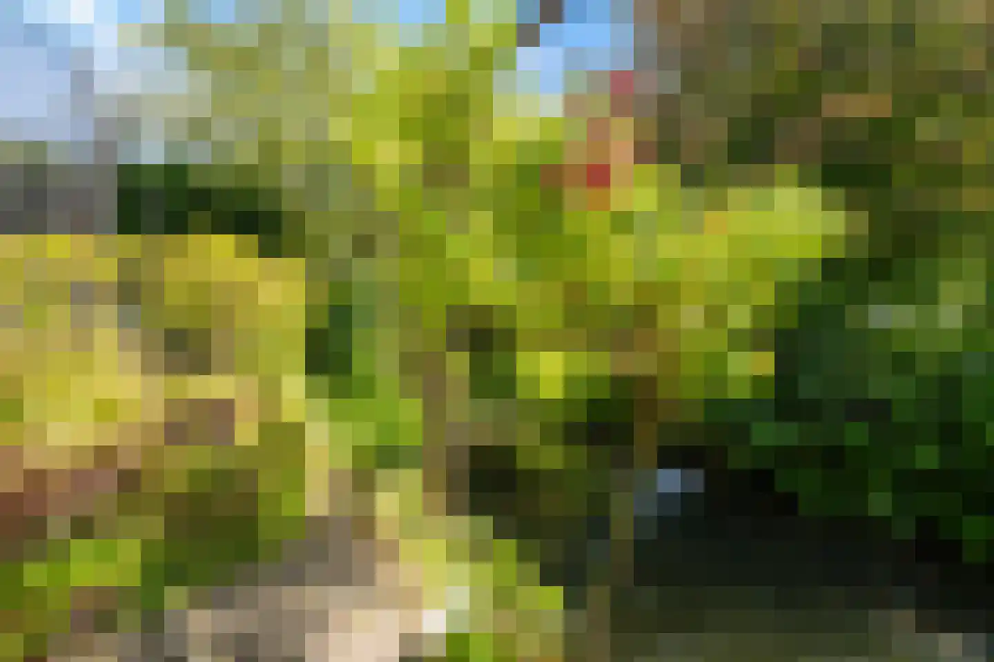 Zwaluw 160 Ridderkerk thumbnail 36