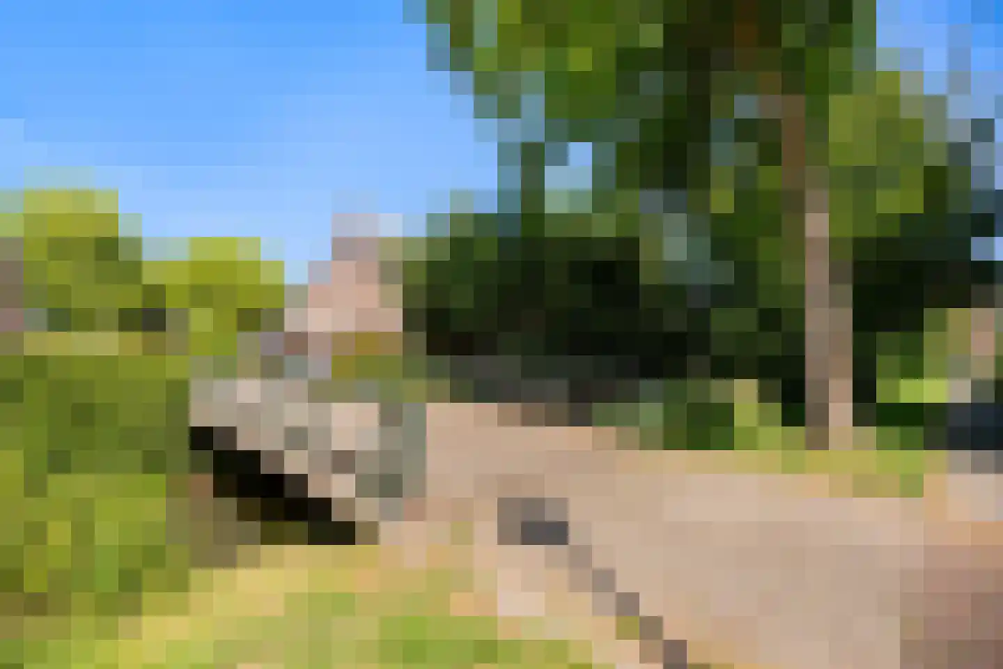 Zwaluw 160 Ridderkerk thumbnail 38