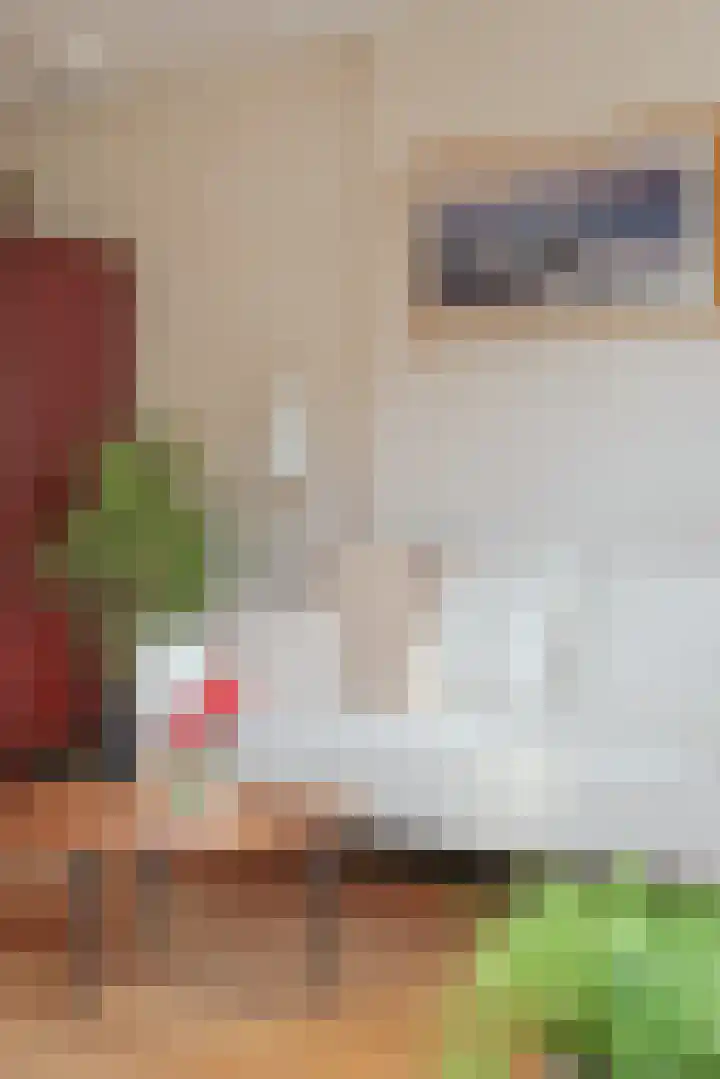 Zwaluw 20 Heemskerk thumbnail 11