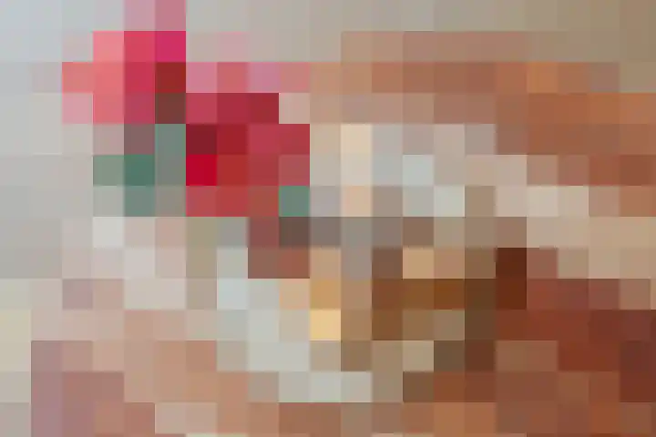 Zwaluw 20 Heemskerk thumbnail 12