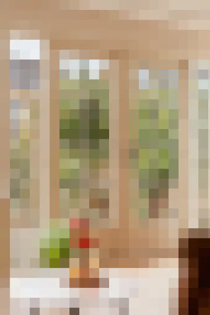Zwaluw 20 Heemskerk thumbnail 13