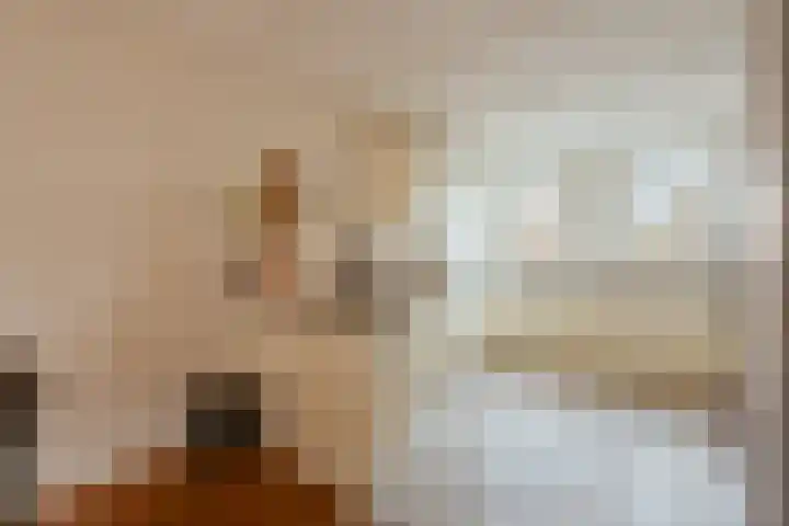 Zwaluw 20 Heemskerk thumbnail 20